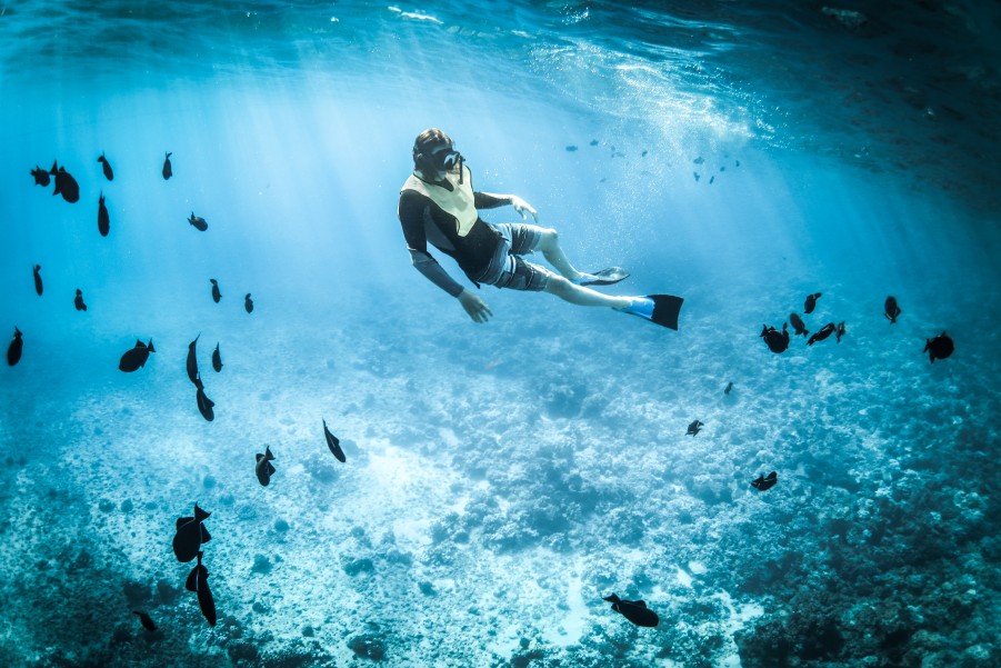 les plus beaux lieux de plongees sous marine 